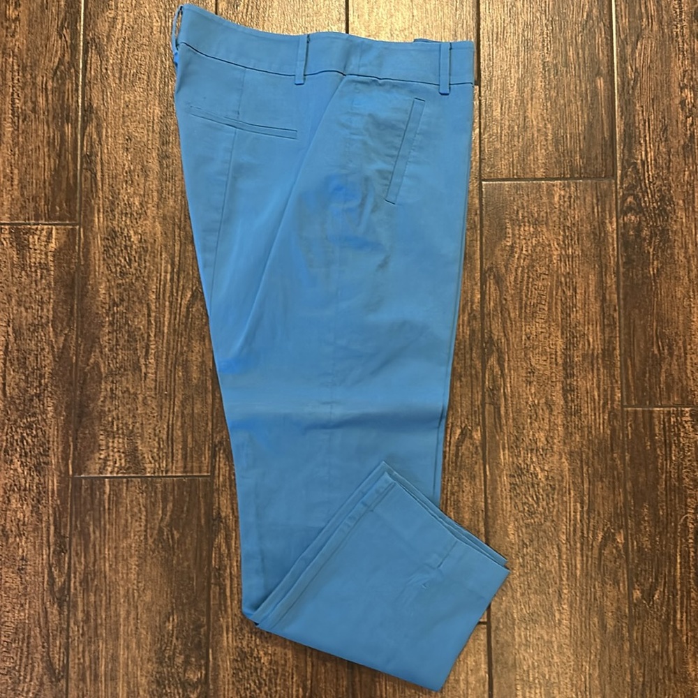 Ann Taylor pants
